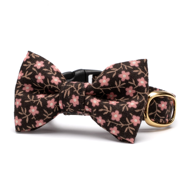 リボン付き猫首輪 moda コーズユニティ ブラウン【限定モデル】