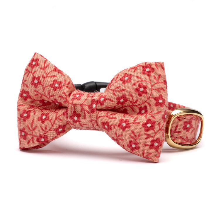 リボン付き猫首輪 moda コーズユニティ ピンク【限定モデル】