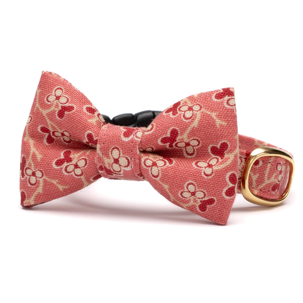 リボン付き猫首輪 moda ルーアンヌリー トロワ ピンク【限定モデル】 リボン付き猫首輪 moda ルーアンヌリー トロワ ピンク【限定モデル】