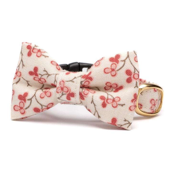 リボン付き猫首輪 moda ルーアンヌリー トロワ オフホワイト【限定モデル】