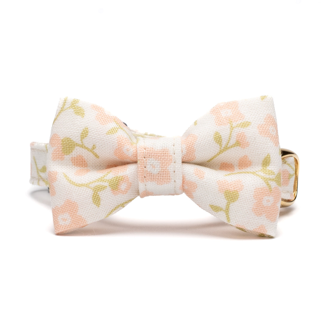 リボン付き猫首輪 moda デインティーメドー ピンク【限定モデル】