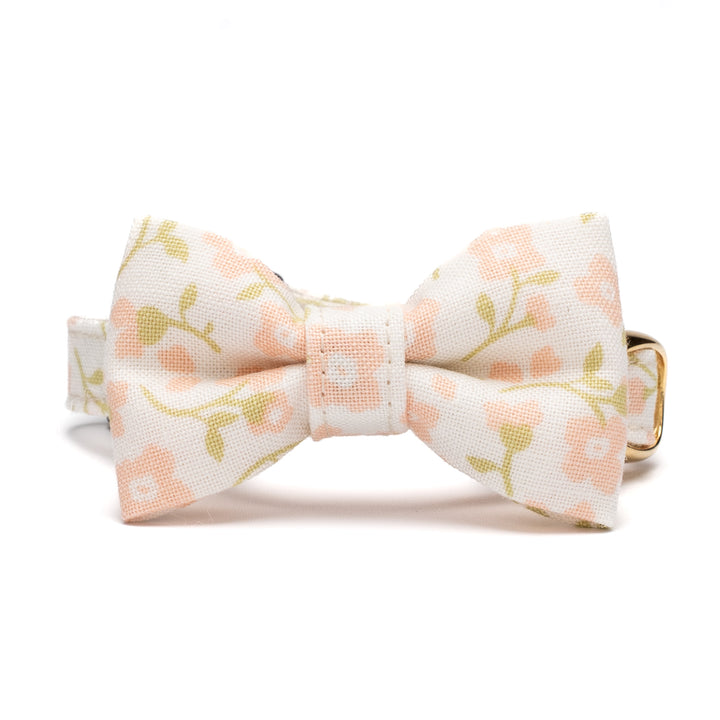 リボン付き猫首輪 moda デインティーメドー ピンク【限定モデル】