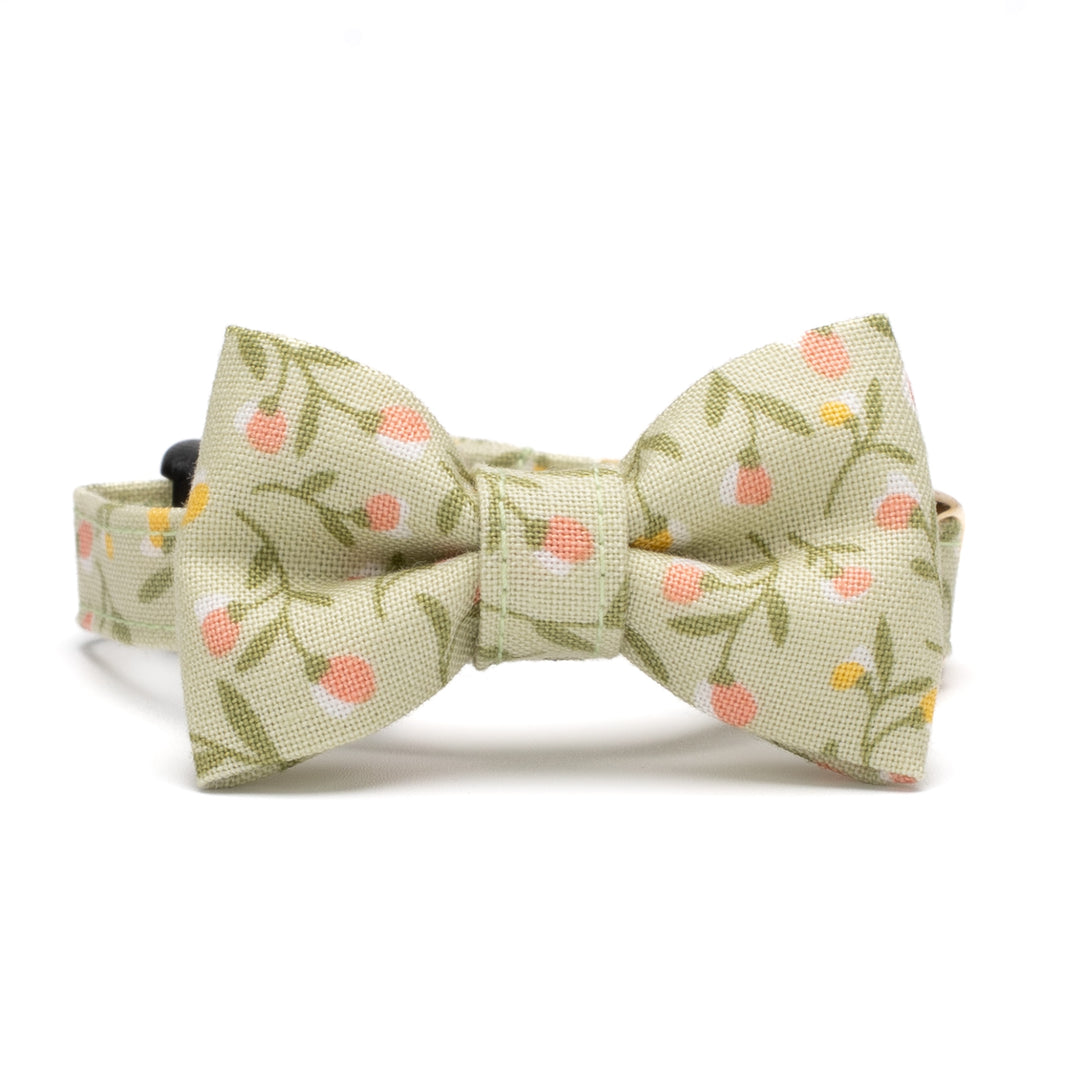 リボン付き猫首輪 moda フラワーガール グリーン【限定モデル】