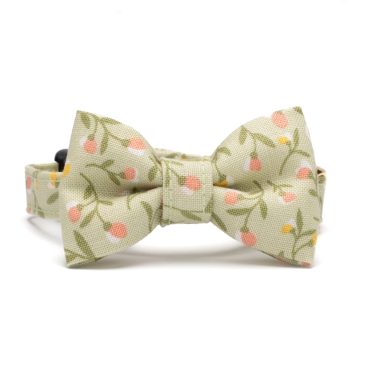 リボン付き猫首輪 moda フラワーガール グリーン【限定モデル】