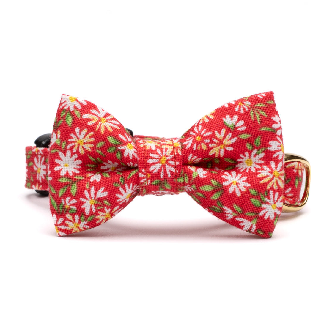 リボン付き猫首輪 moda ワイルドフラワーズ レッド【限定モデル】