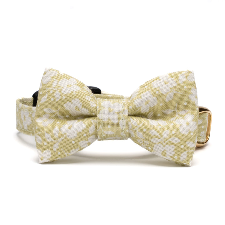 リボン付き猫首輪 moda デインティーメドー モノグリーン【限定モデル】