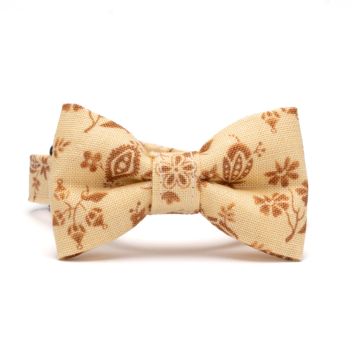 リボン付き猫首輪 moda ダイナーズデライト イエロー【限定モデル】