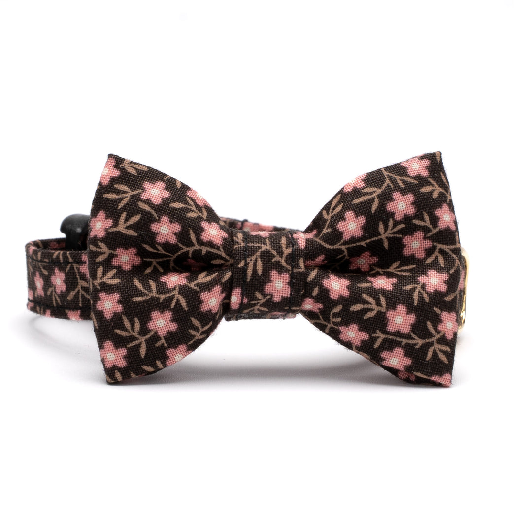 リボン付き猫首輪 moda コーズユニティ ブラウン【限定モデル】