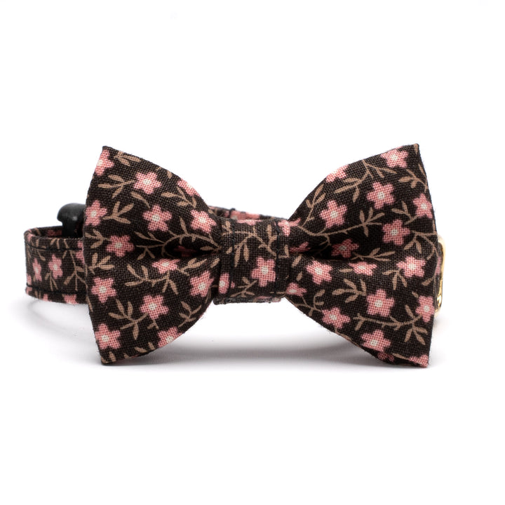 リボン付き猫首輪 moda コーズユニティ ブラウン【限定モデル】