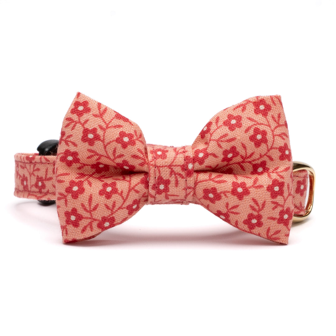 リボン付き猫首輪 moda コーズユニティ ピンク【限定モデル】