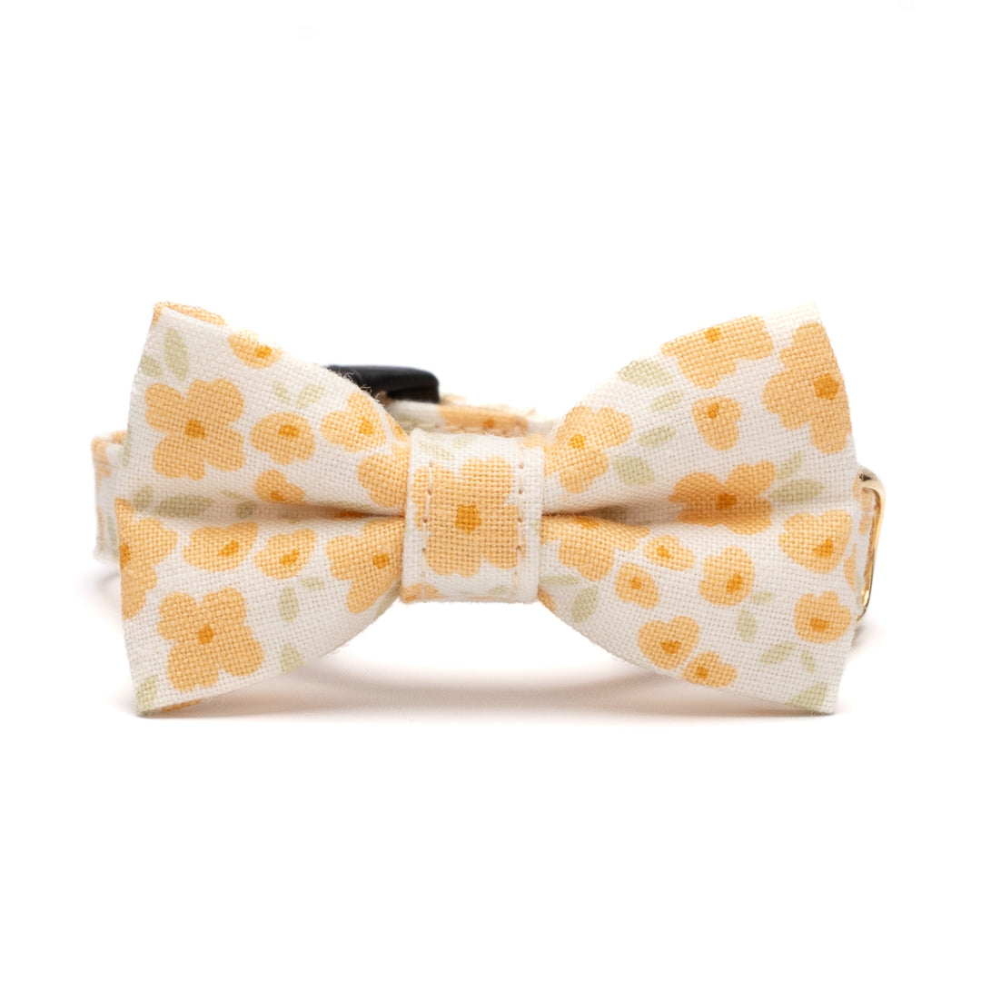 リボン付き猫首輪 moda コテージチャーム イエロー【限定モデル】