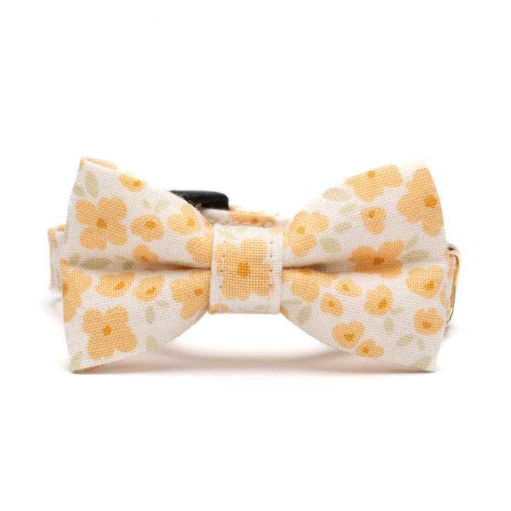 リボン付き猫首輪 moda コテージチャーム イエロー【限定モデル】