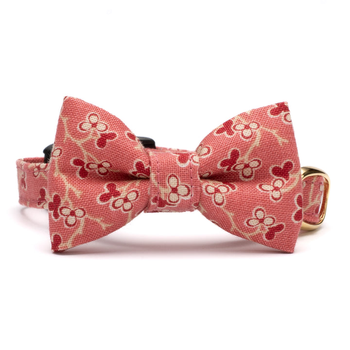 リボン付き猫首輪 moda ルーアンヌリー トロワ ピンク【限定モデル】