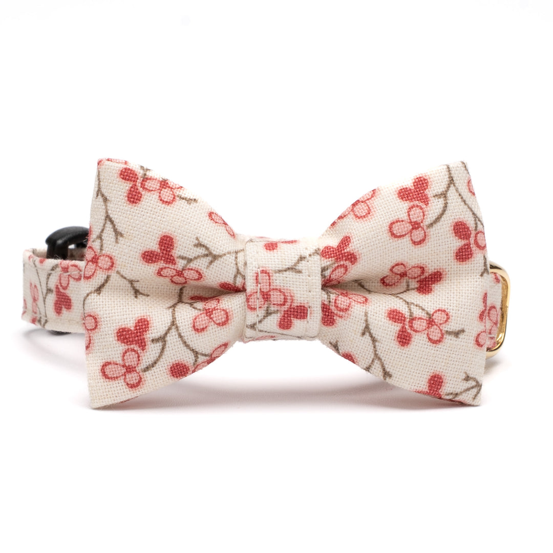 リボン付き猫首輪 moda ルーアンヌリー トロワ オフホワイト【限定モデル】