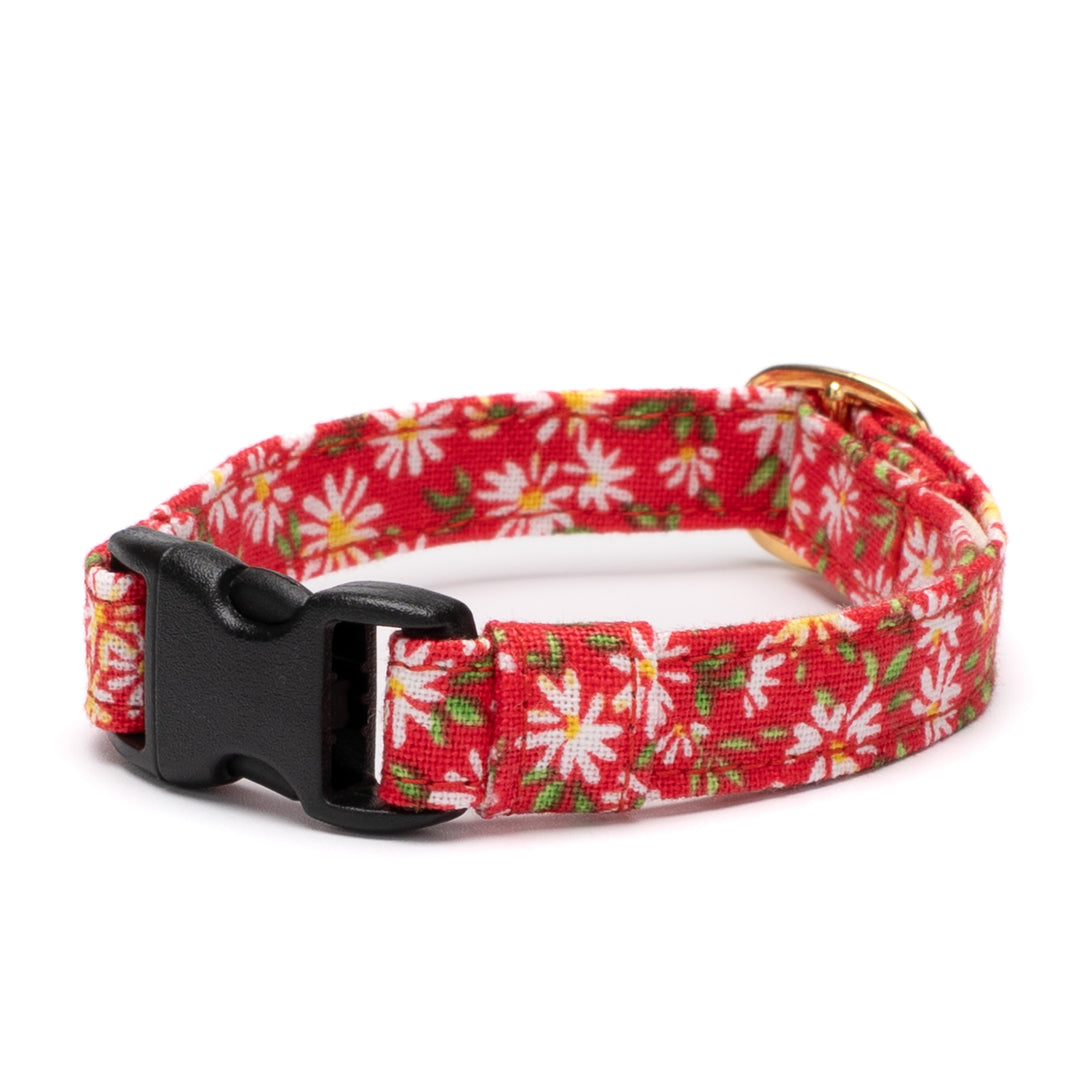 猫首輪 moda ワイルドフラワーズ レッド【限定モデル】