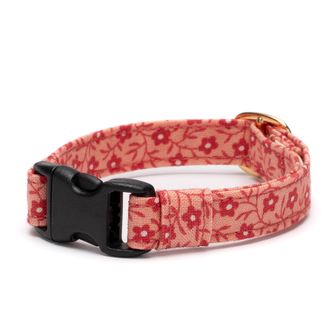 猫首輪 moda コーズユニティ ピンク【限定モデル】