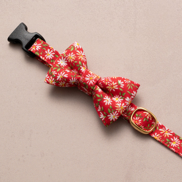 リボン付き猫首輪 moda ワイルドフラワーズ レッド【限定モデル】