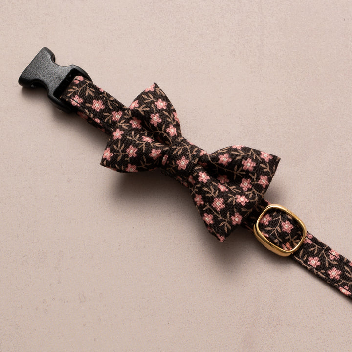 リボン付き猫首輪 moda コーズユニティ ブラウン【限定モデル】