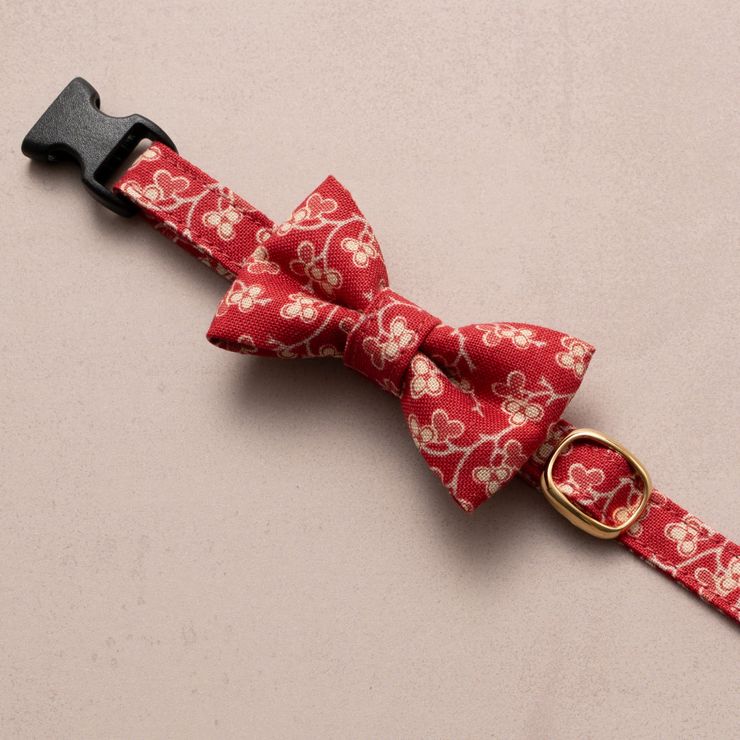 リボン付き猫首輪 moda ルーアンヌリー トロワ レッド【限定モデル】