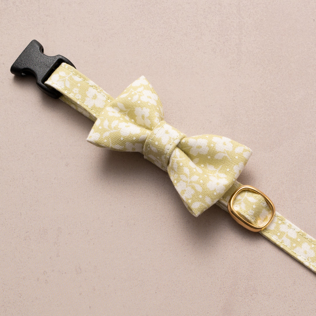 リボン付き猫首輪 moda デインティーメドー モノグリーン【限定モデル】