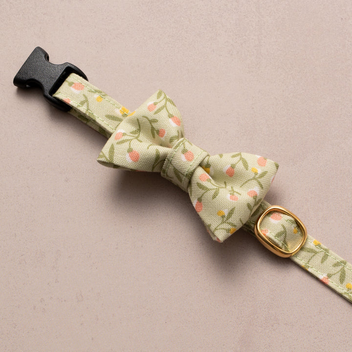 リボン付き猫首輪 moda フラワーガール グリーン【限定モデル】