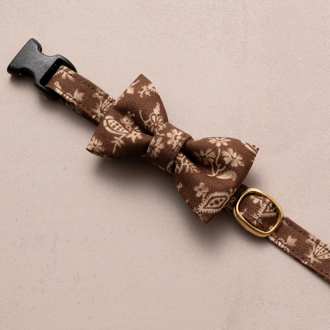 リボン付き猫首輪 moda ダイナーズデライト ブラウン【限定モデル】