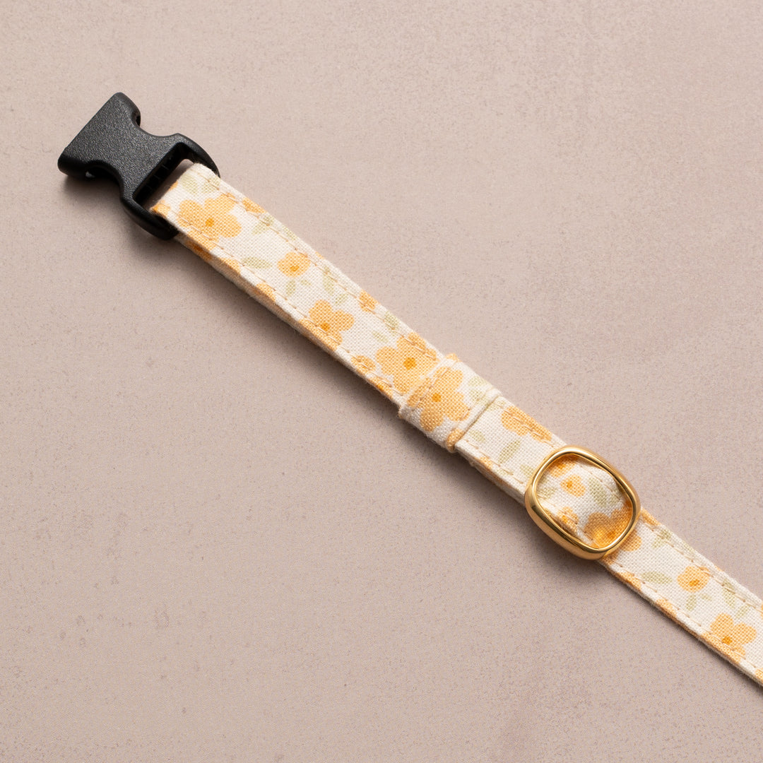 猫首輪 moda コテージチャーム イエロー【限定モデル】