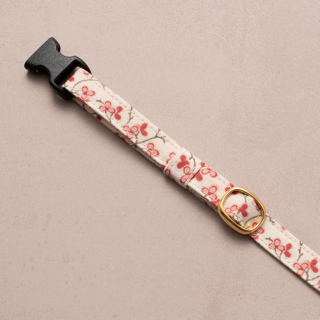 猫首輪 moda ルーアンヌリー トロワ オフホワイト【限定モデル】