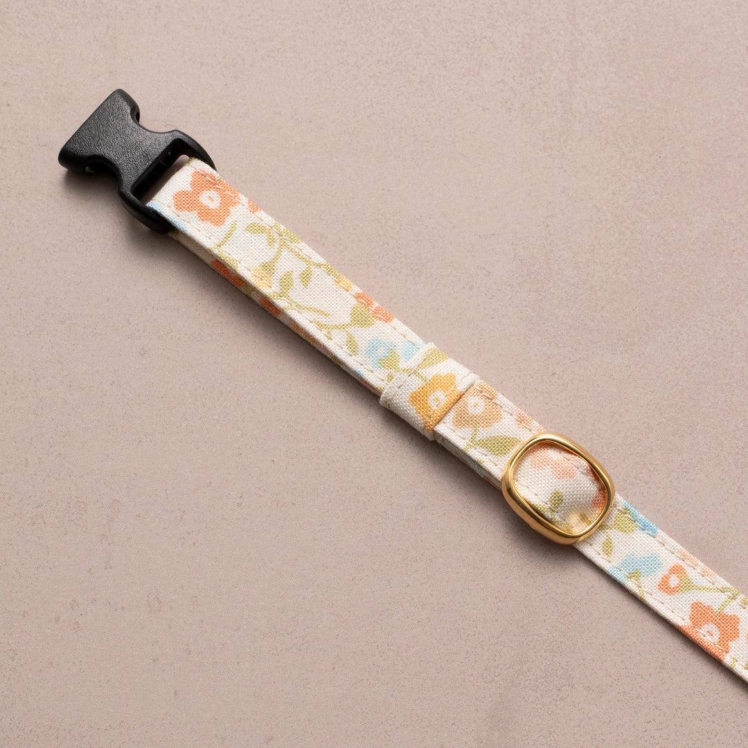 猫首輪 moda デインティーメドー マルチカラー【限定モデル】