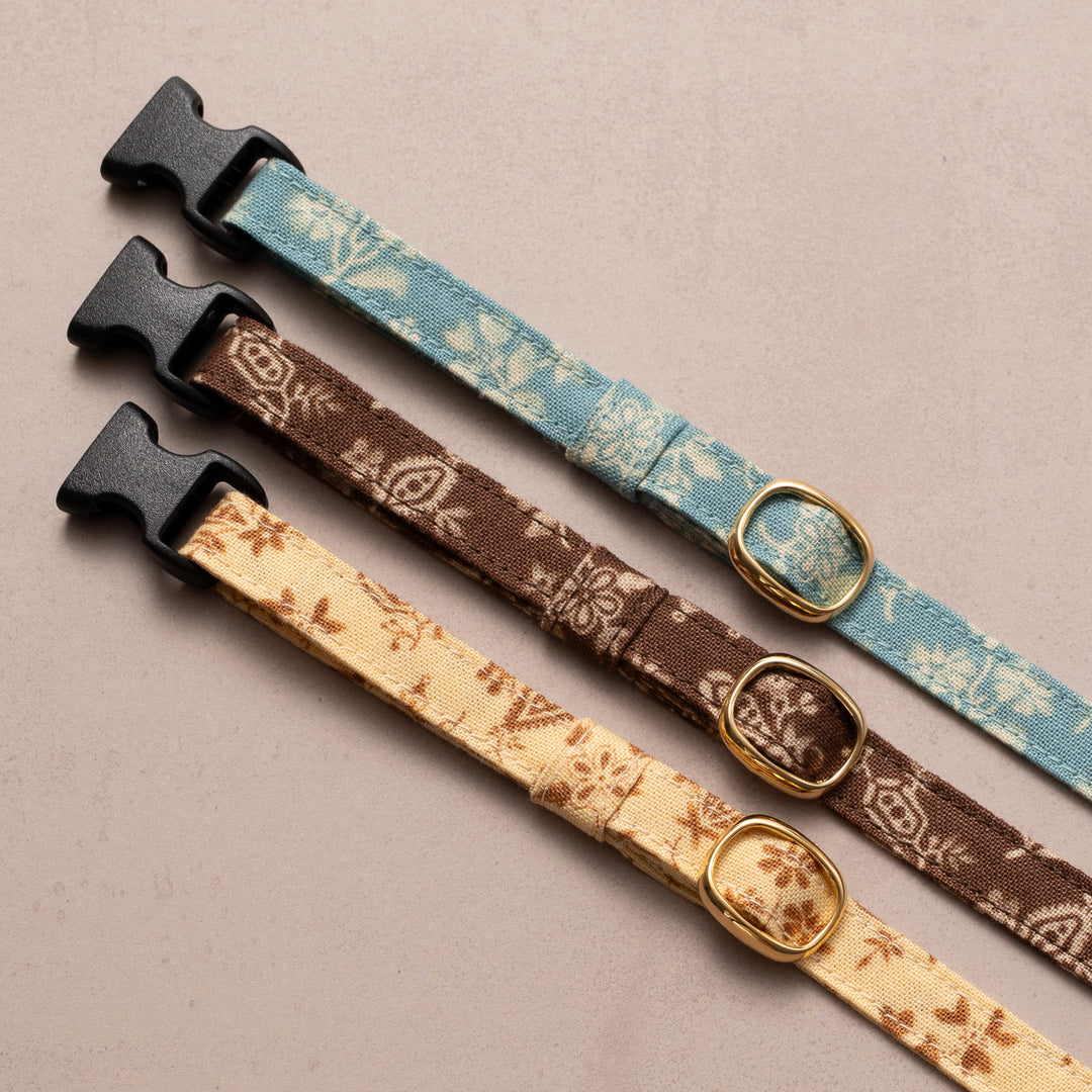 猫首輪 moda ダイナーズデライト イエロー【限定モデル】