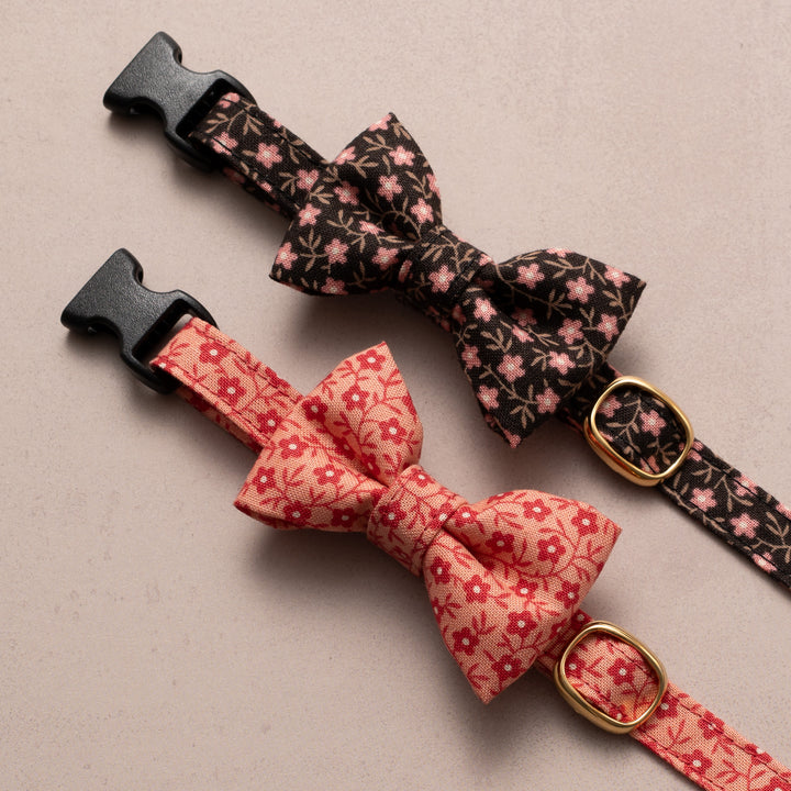 リボン付き猫首輪 moda コーズユニティ ブラウン【限定モデル】