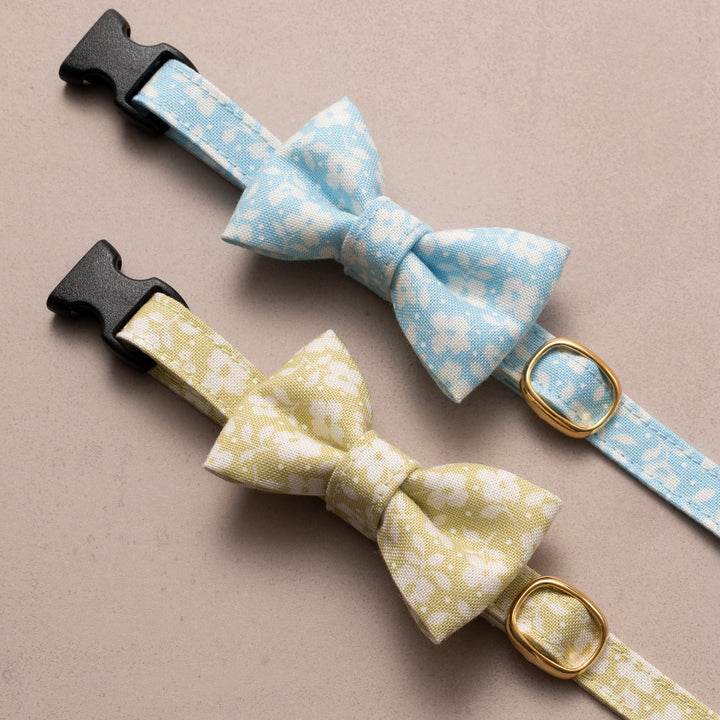 リボン付き猫首輪 moda デインティーメドー モノグリーン【限定モデル】