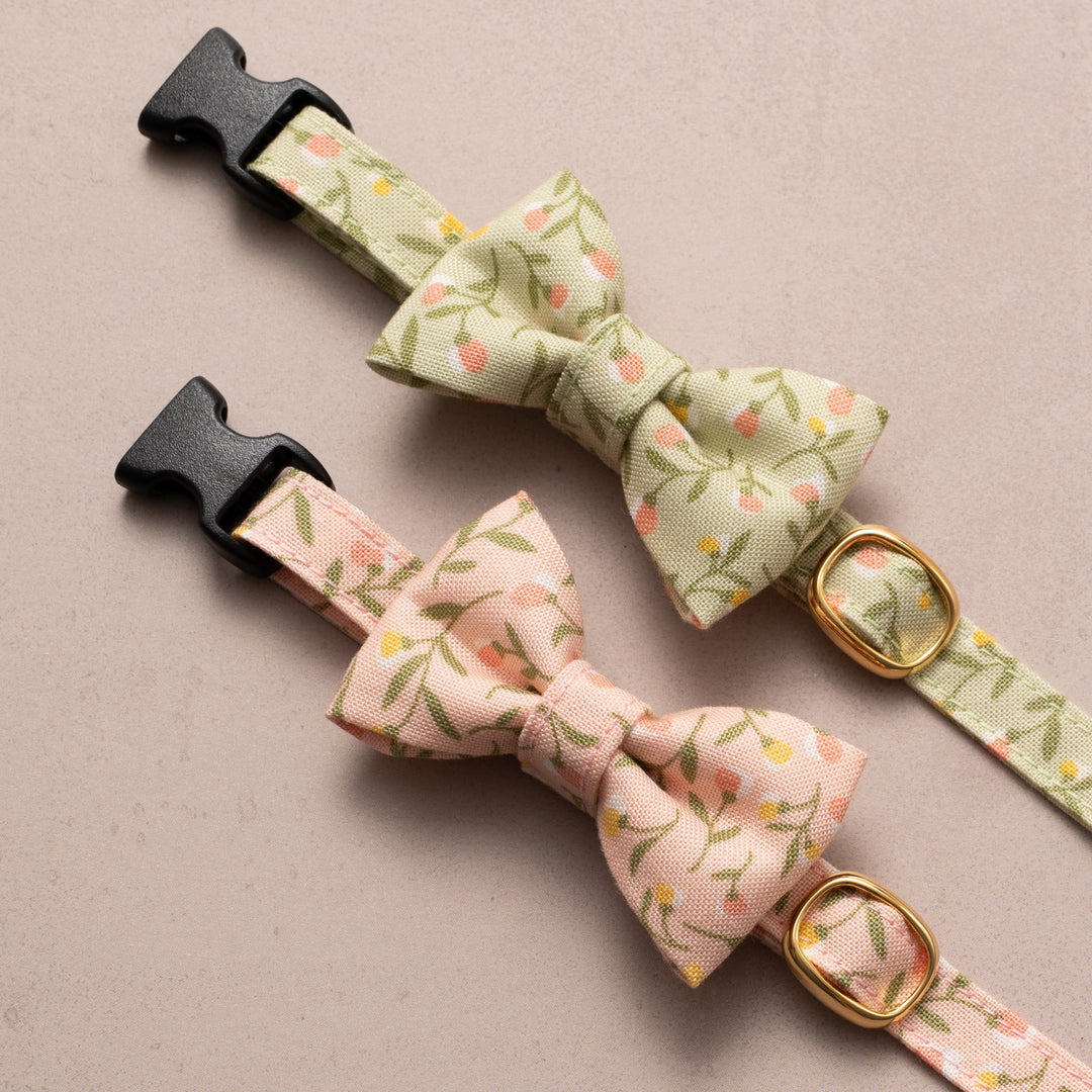 リボン付き猫首輪 moda フラワーガール グリーン【限定モデル】