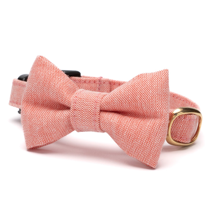 リボン付き猫首輪 汚れに強い撥水撥油 トマトレッド