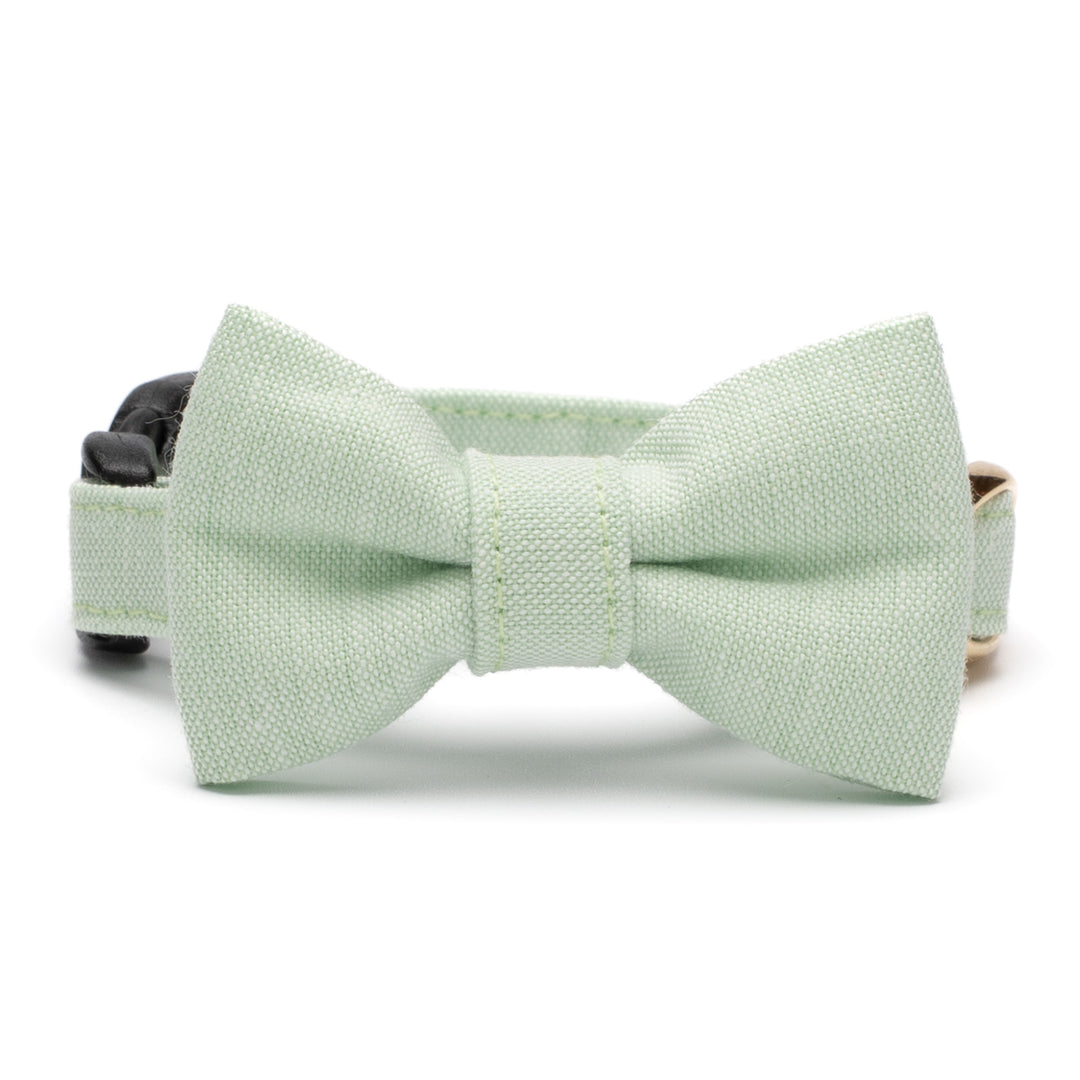 リボン付き猫首輪 汚れに強い撥水撥油 スプリンググリーン