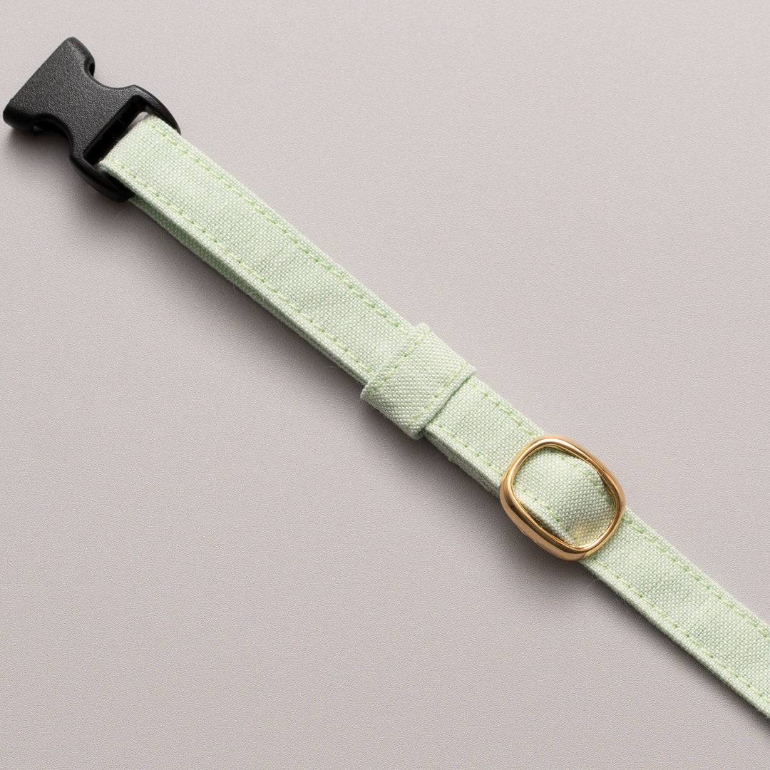 猫首輪 汚れに強い撥水撥油 スプリンググリーン