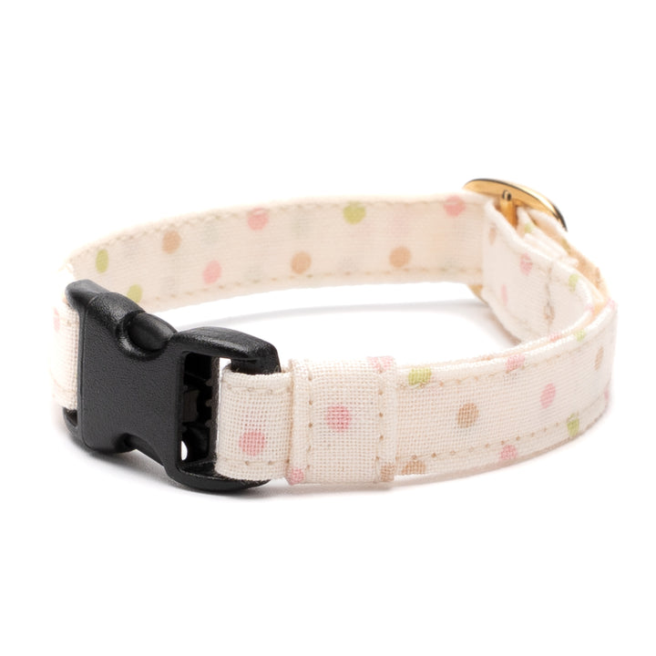 猫首輪 ドット マルチカラー アイボリー【限定色】