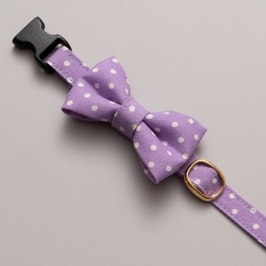 リボン付き猫首輪 ドット ラベンダー