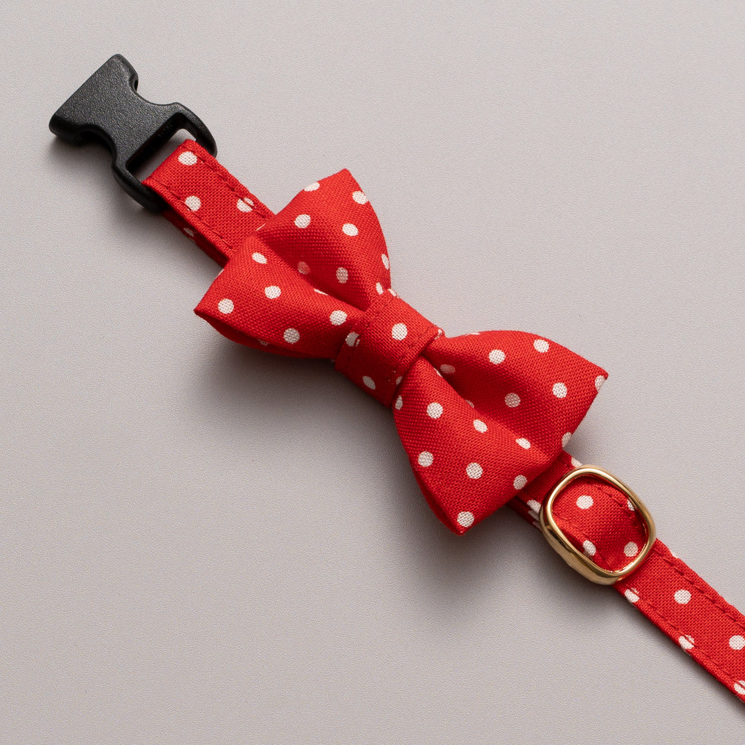 リボン付き猫首輪 ドット ストロベリーレッド