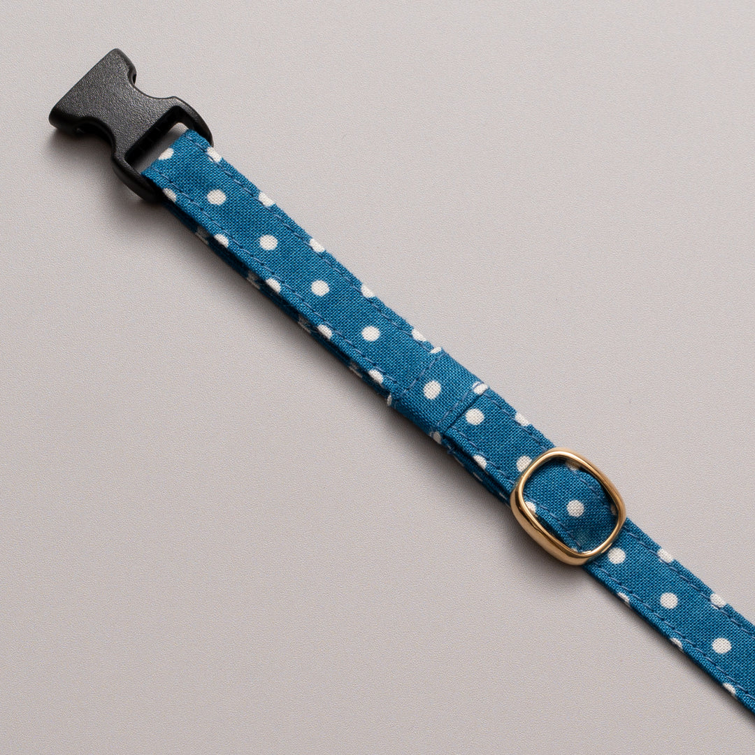 猫首輪 ドット ターコイズ