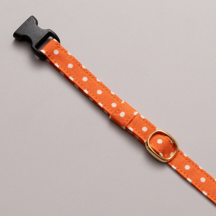 猫首輪 ドット サンオレンジ