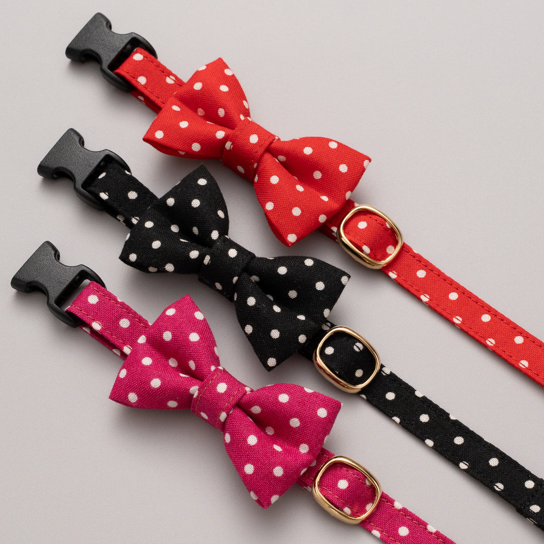 リボン付き猫首輪 ドット ブラック