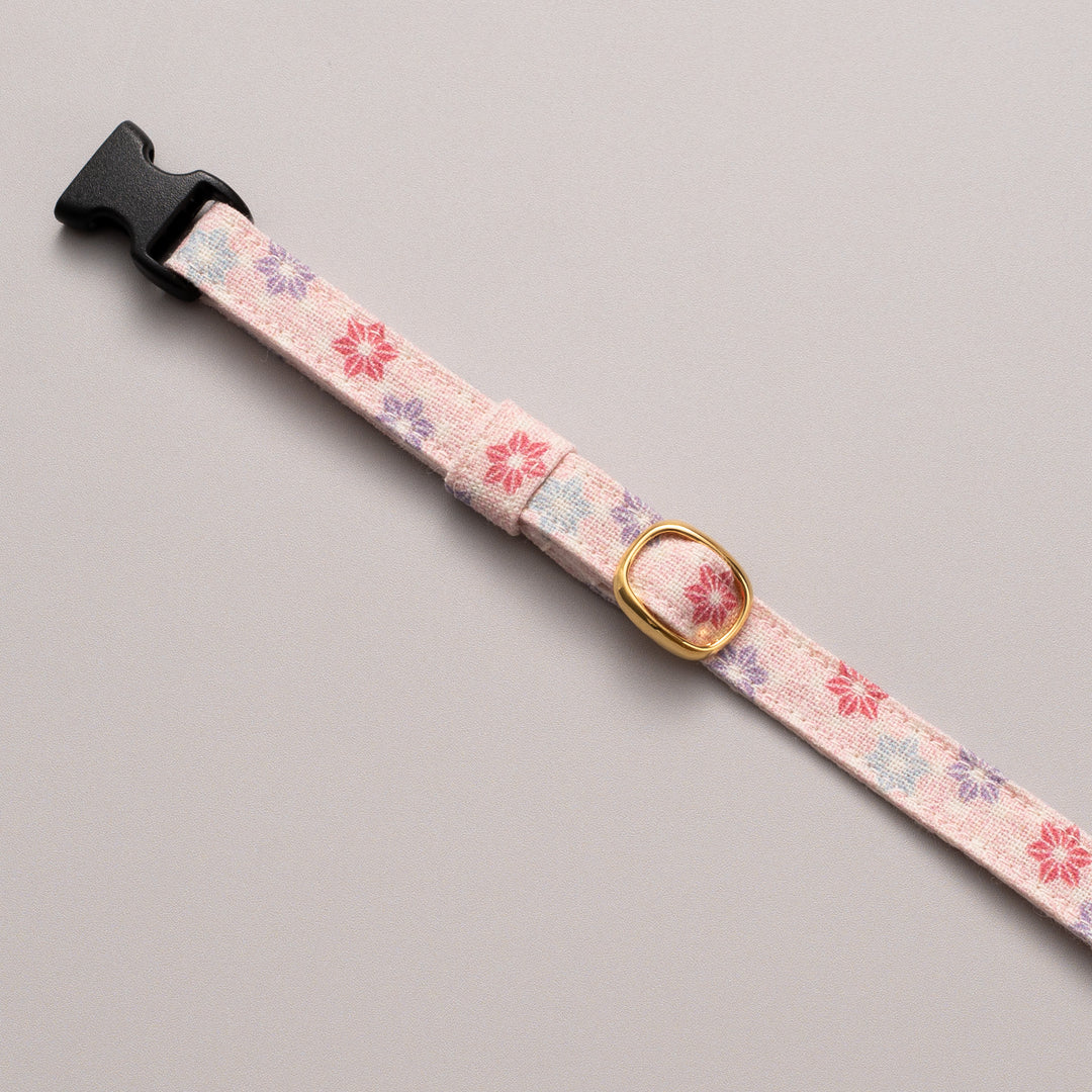 グラフィック猫首輪 和紋 コンプリートセット【限定モデル】