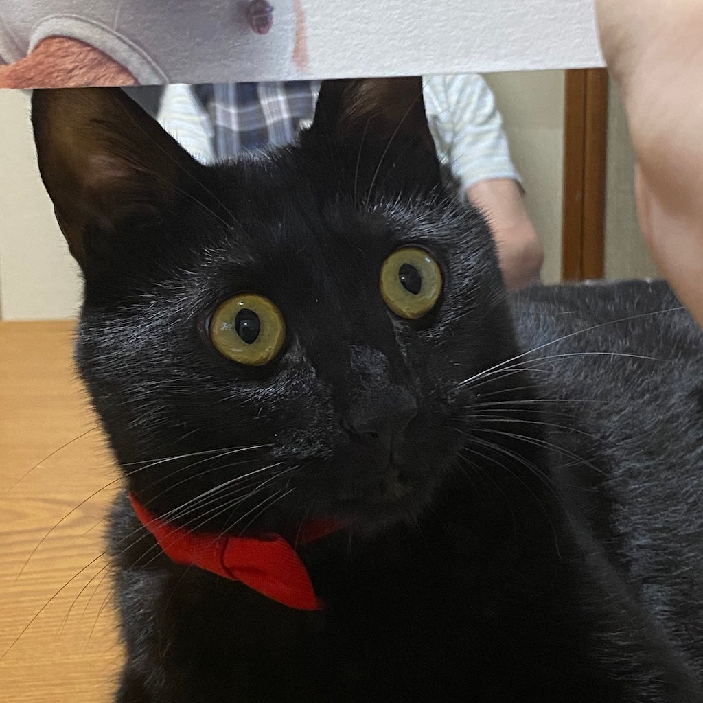 ららちゃん