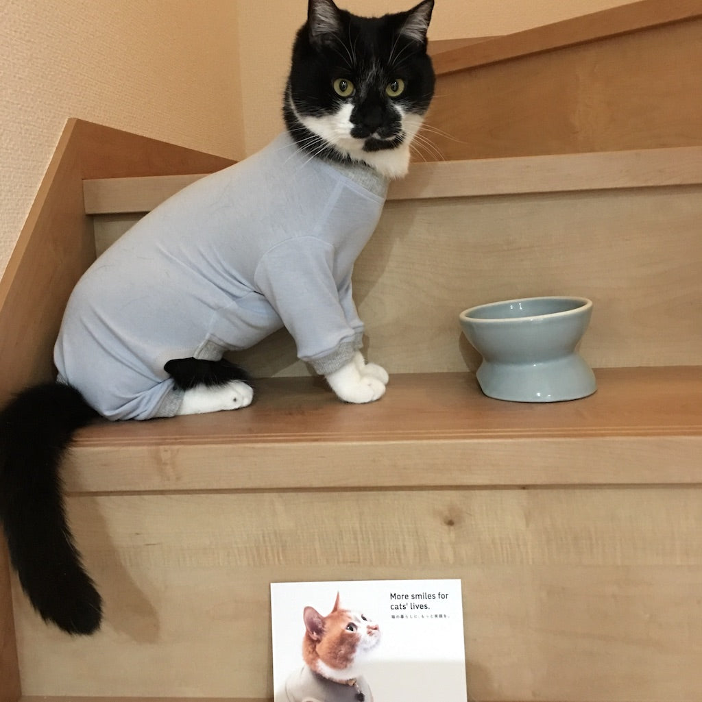 天ちゃん