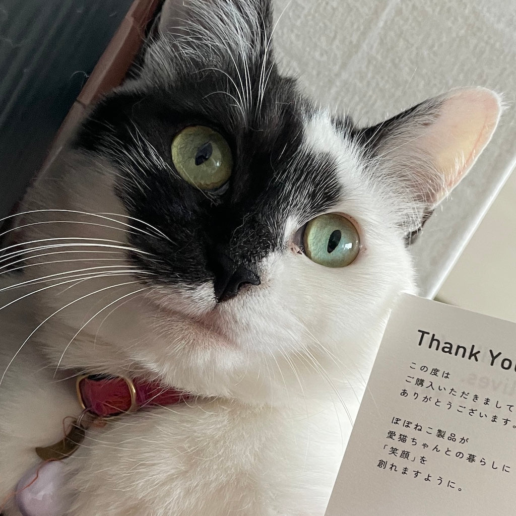 スズちゃん