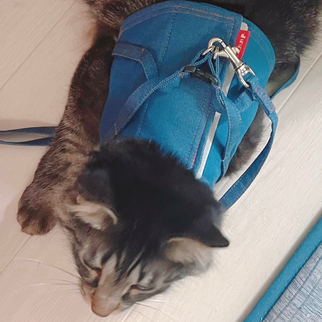 風汰くん
