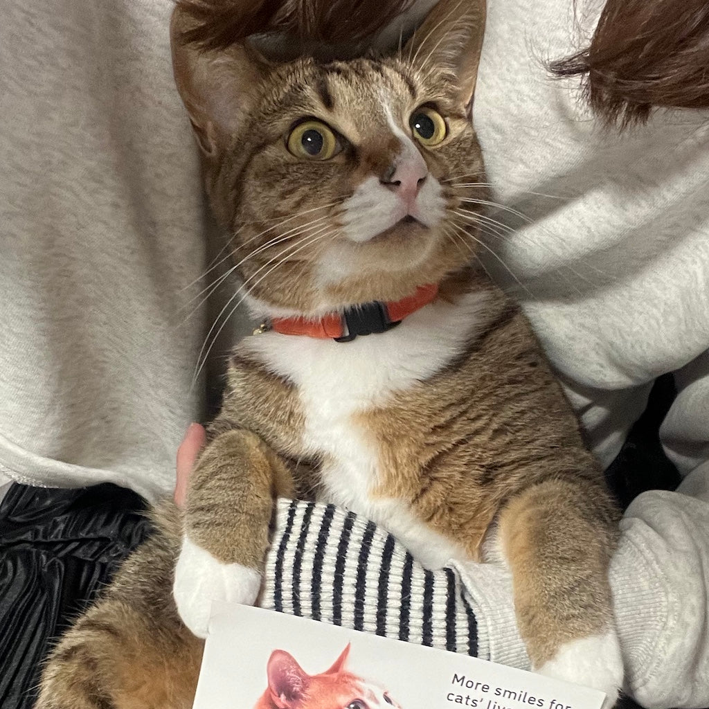 ねぎくん