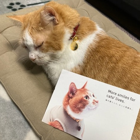 がぁさん