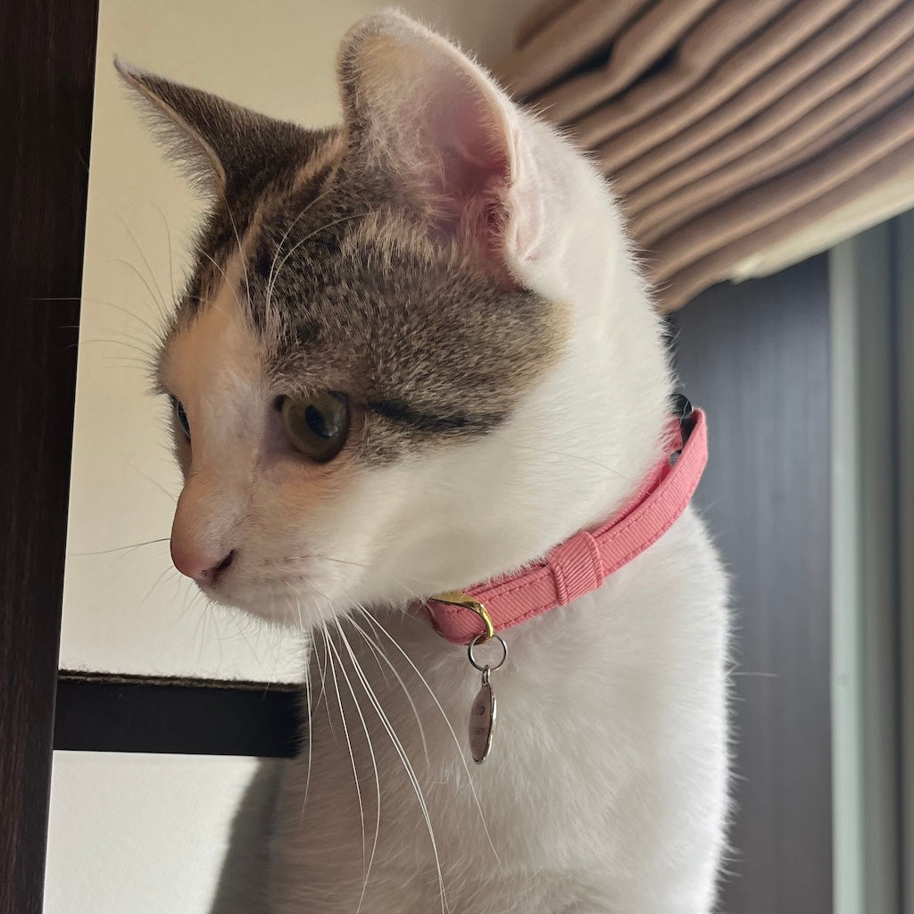 みとちゃん